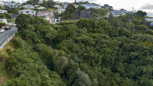 72 Farnham Street Mornington_4