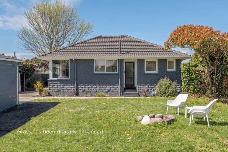 19 Eglinton Street Avondale_18