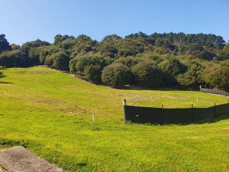 12 Ngarimu Heights Row Ngarimu Bay_7