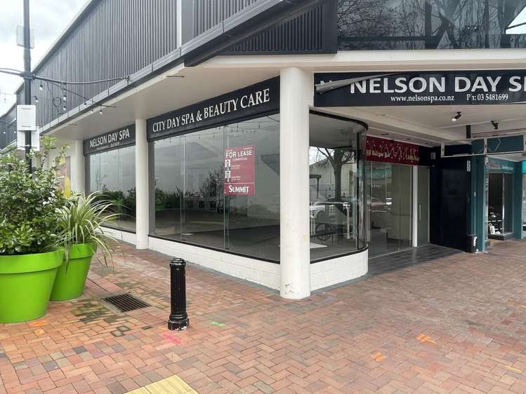 86 Bridge Street Nelson_1