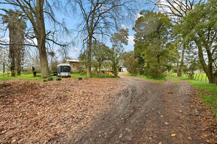 452 Holland Road Eureka_31
