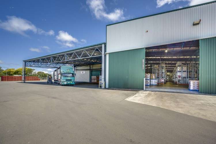 113 Elwood Road Tomoana_17