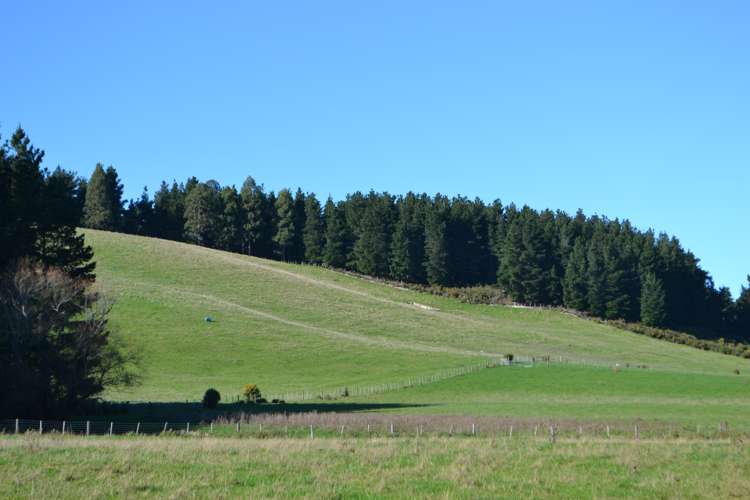 1363 Loburn Whiterock Road Loburn_7