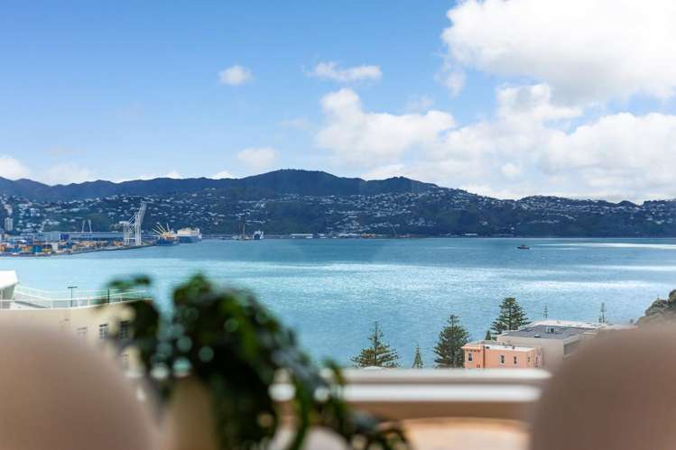 5 Wilkinson Street Oriental Bay_19