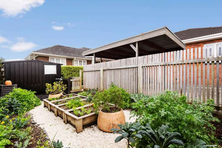 7 Pinewood Street Avondale_10