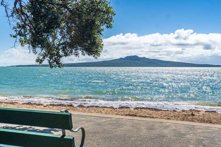 42 Cheltenham Road Devonport_21