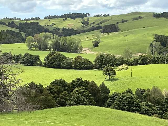 Lot 2/DP385487 Poyner Road Makarau_3