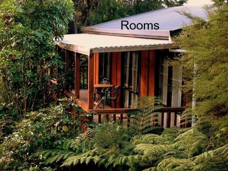 21 Moss Road Kaiteriteri_15