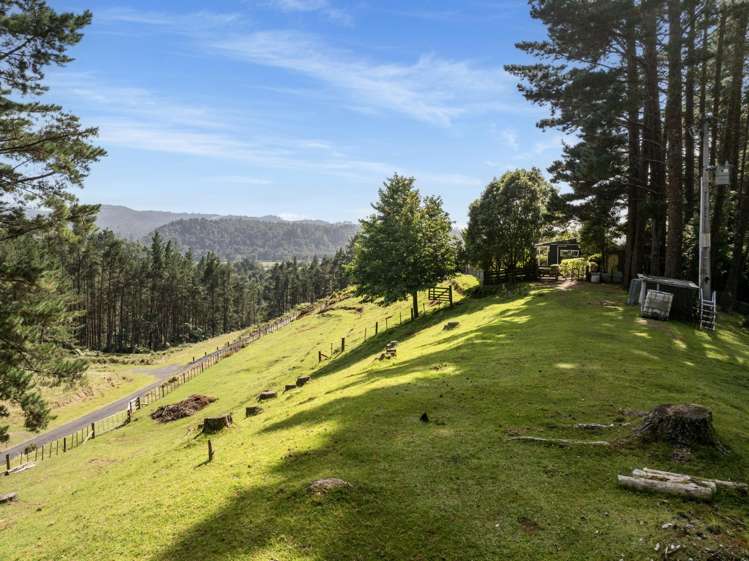 2252 SH29 Lower Kaimai_20