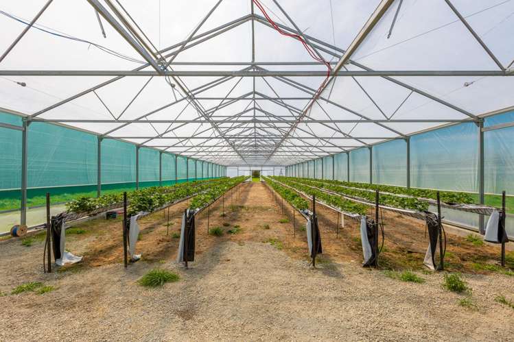 1437 Old West Coast Road West Melton_34