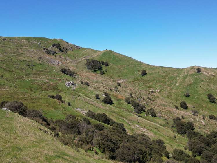 White Rock Road Martinborough_1