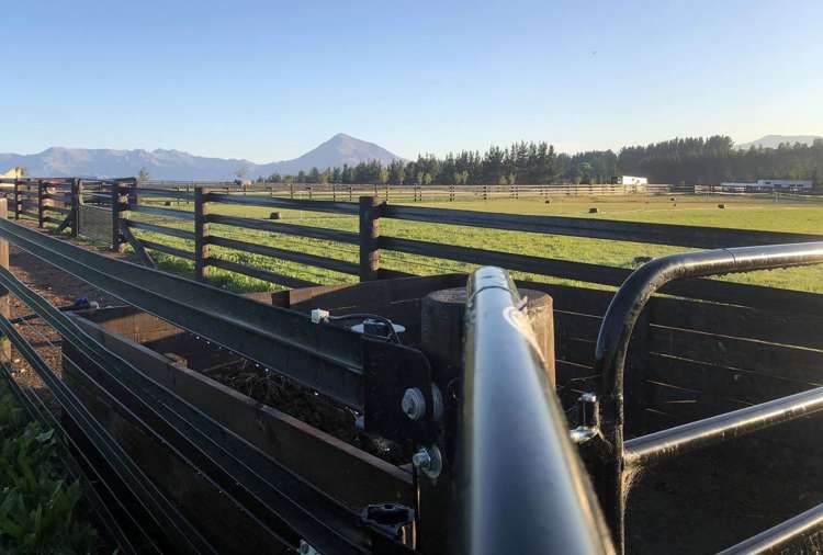 474 Wanaka-Luggate Highway Wanaka_10