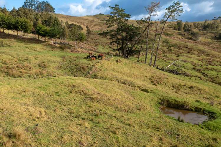 184 Koutu Loop Road Opononi_24