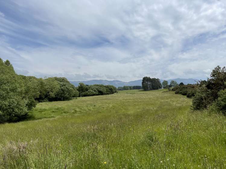 92 Maytown Road Waimate_28