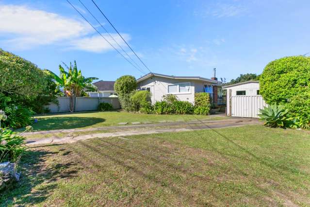 107 Vodanovich Road Te Atatu South_3