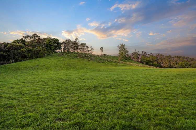 153 Waikoukou Valley Road Waimauku_13