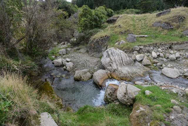 Nature Lover | Privacy Seeker