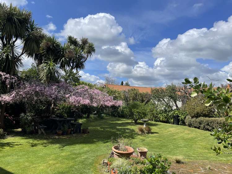 232 Park Road Hokowhitu_29