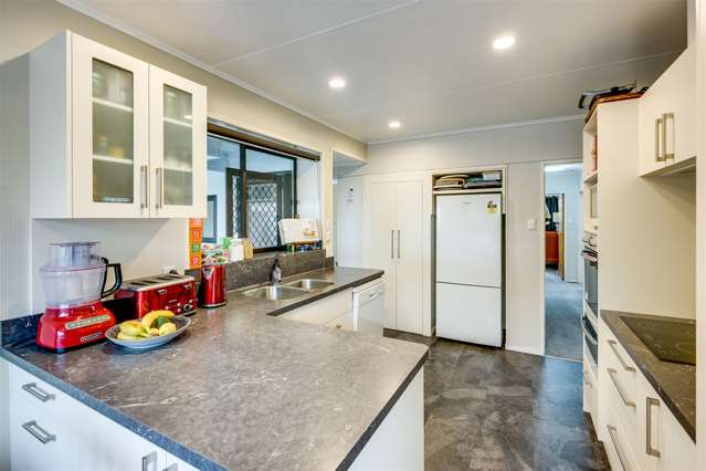 29 Lyttelton Crescent Tamatea_4