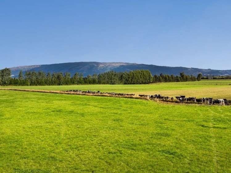 17 Bardsey Street Mosgiel_7