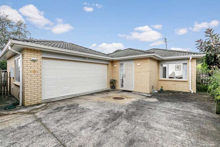 57 Freeland Avenue Mount Roskill_0
