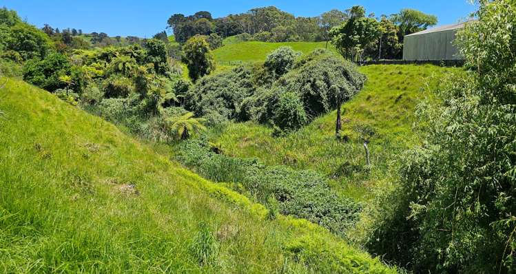 350A Bothwell Park Road Waiuku_22