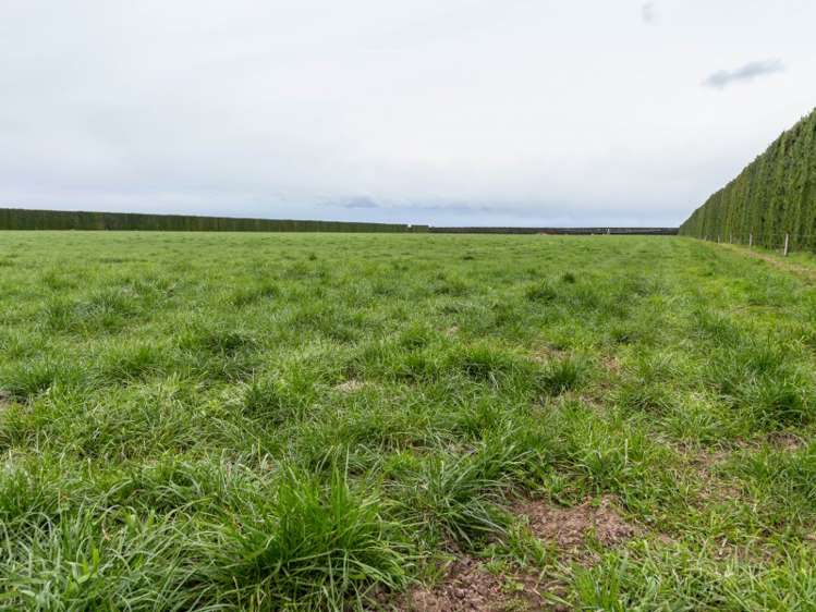 46 Mitchells Road Bankside_22