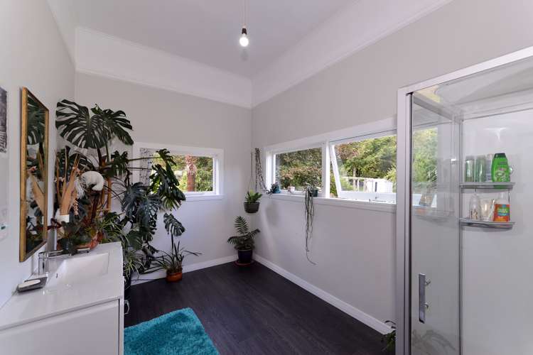 739 Tadmor-Glenhope Road Kahurangi National Park_13