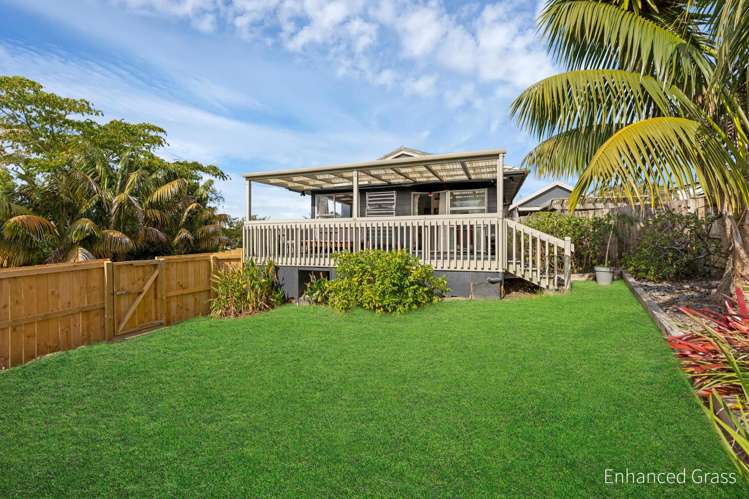 42a Forest Hill Road Henderson_14