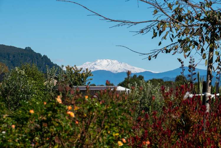 26 Lacebark Drive Kinloch_31