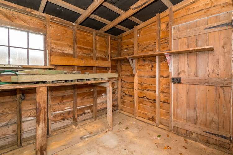 15 Harrington Street Lawrence_17