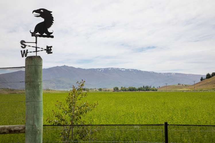 57 Golden Road Alexandra_33