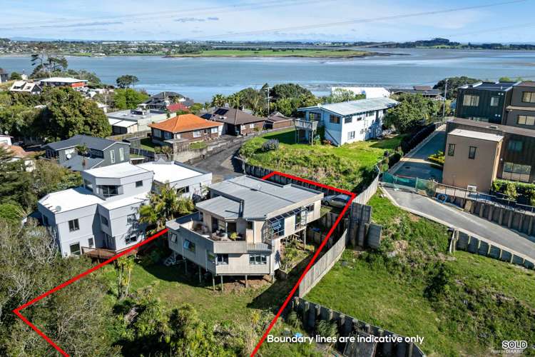 24a Hoskins Avenue Hillsborough_4