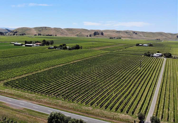 2061 Maraekakaho Road Central Hawkes Bay Coastal_21