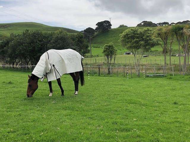 Lot 2 DP480579 South Head Road South Head_2