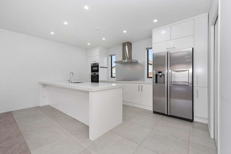 6b Clifton Road Hamilton Central_6