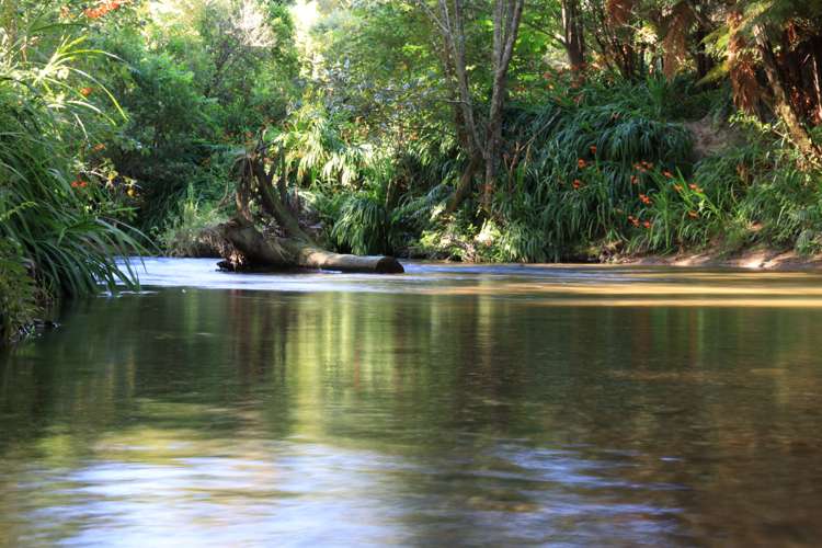 1099 Paradise Valley Road_1