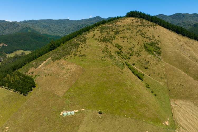 51 Bryants Road Rai Valley_29