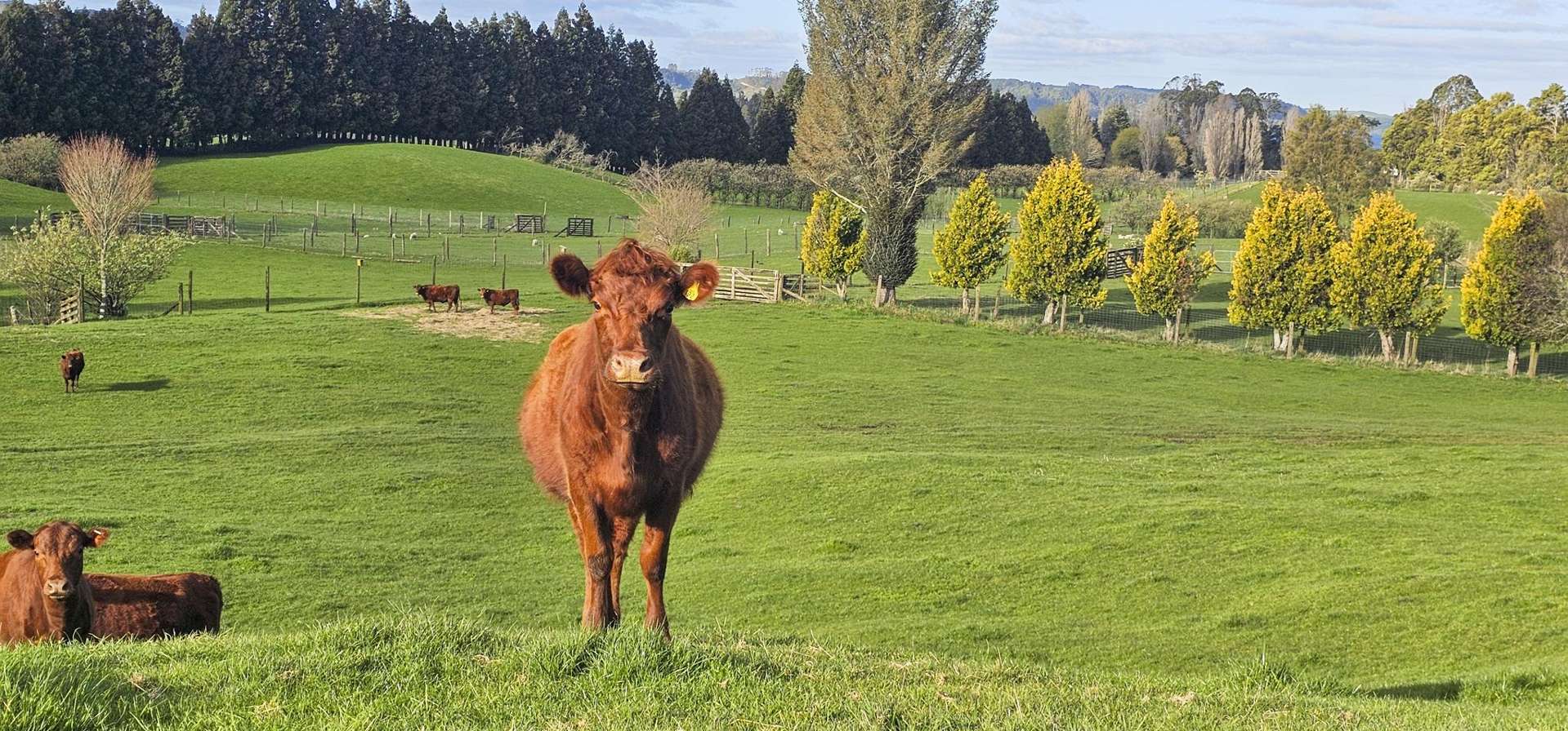 94 Oturoa Road Hamurana_0