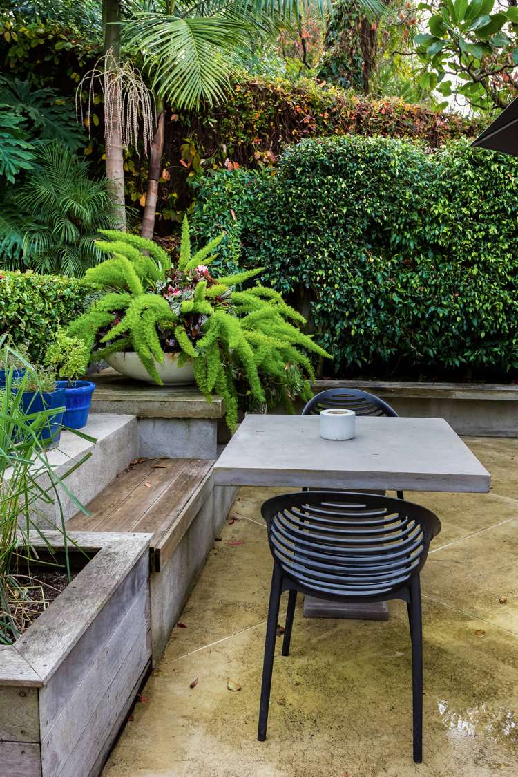 23 Georgina Street Freemans Bay_54