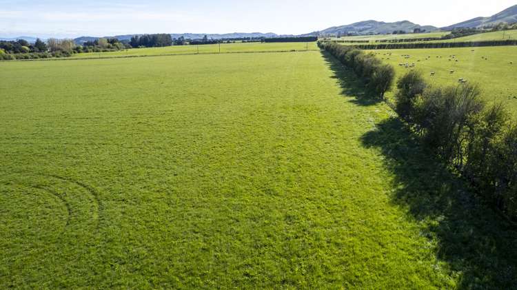 Brooklands Road Gladstone_17