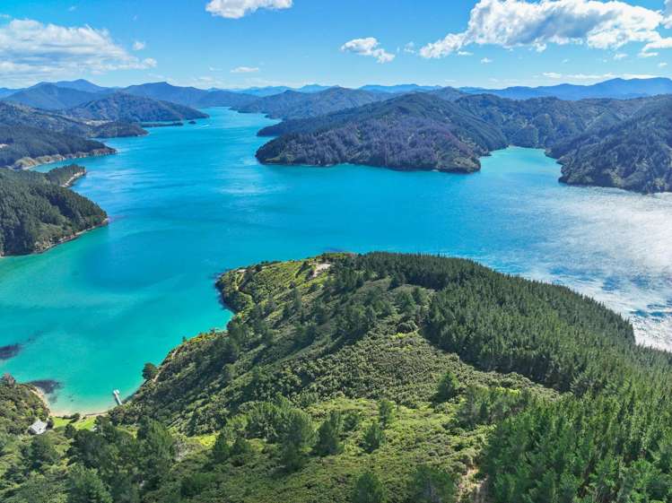 Te Rua Bay Tory Channel_10