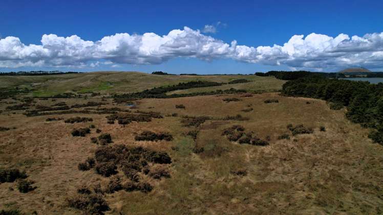 Lake Road Okaihau_15