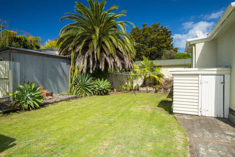 115 Harris Street Inner Kaiti_18