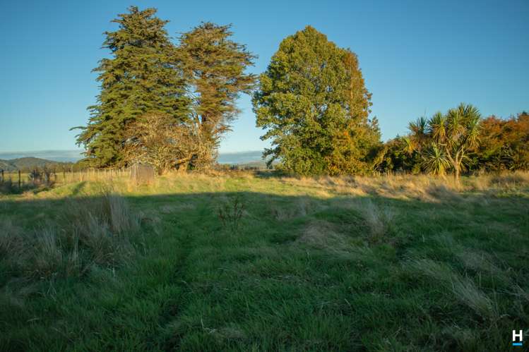 829 Nelson Creek Road Hochstetter_30