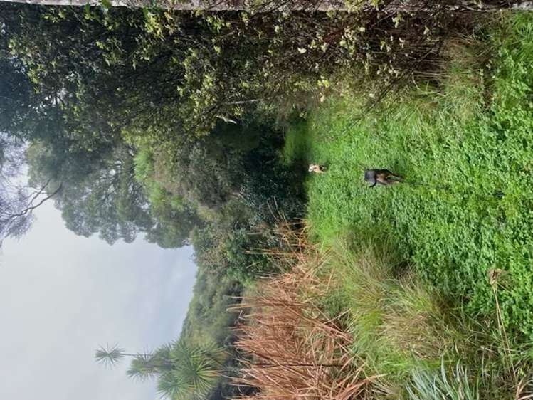 458 Whitehills Road Waitoki_29