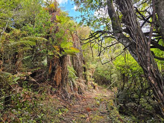 15 Excelsior Road Halfmoon Bay_2