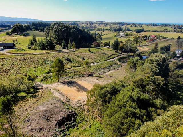 143A Carlyon Road Mahana_2