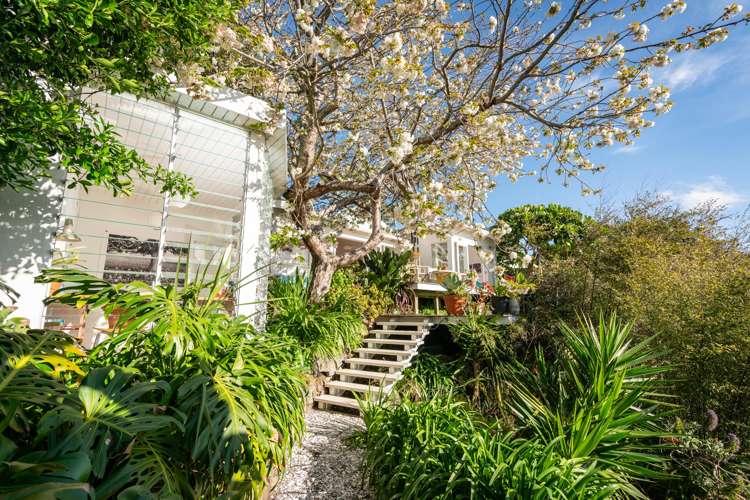 121 Wellington Road Paekakariki_31