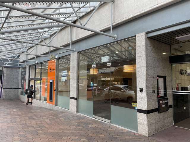 43 Princes Street Dunedin Central_1